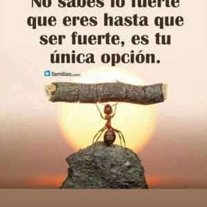 Meet your Posher, Bryan